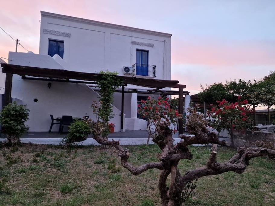 Stromboli Vacanze Exteriör bild